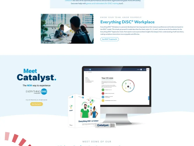 DiSC Profiles 4u, project capture 2